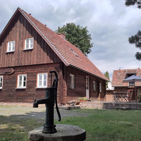 Ferienhaus Am Muehlteich Villa Rietschen Kültér fotó